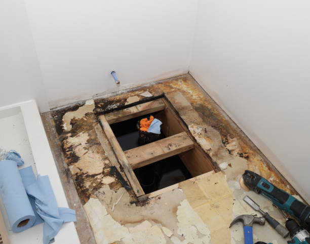 Best Health and Safety Mold Remediation in USA